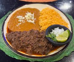 Birria Plate